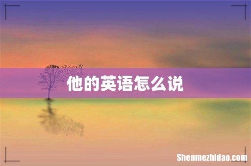 他的英语怎么说