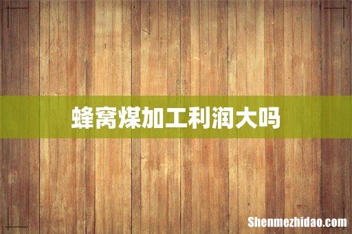 蜂窝煤加工利润大吗