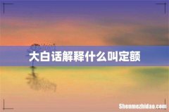 大白话解释什么叫定额