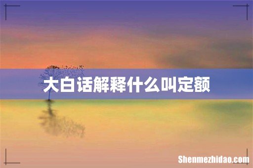 大白话解释什么叫定额