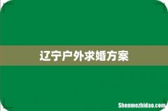 辽宁户外求婚方案