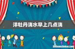 洋牡丹浇水早上几点浇