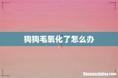 狗狗毛氧化了怎么办