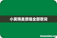 小莫烧麦原唱全部歌词