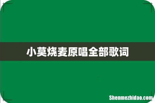 小莫烧麦原唱全部歌词
