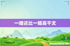 一婚还比一婚高干文