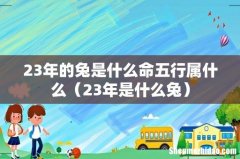 23年是什么兔 23年的兔是什么命五行属什么