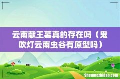 鬼吹灯云南虫谷有原型吗 云南献王墓真的存在吗