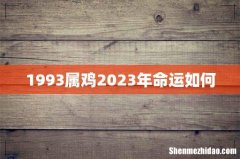1993属鸡2023年命运如何