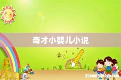 奇才小婴儿小说