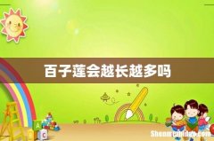 百子莲会越长越多吗