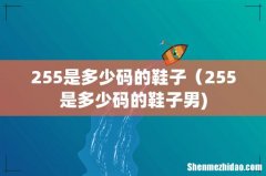 255是多少码的鞋子（255是多少码的鞋子男)