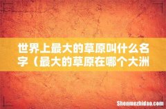 最大的草原在哪个大洲 世界上最大的草原叫什么名字