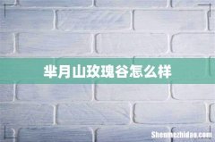 芈月山玫瑰谷怎么样
