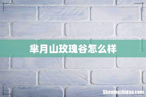 芈月山玫瑰谷怎么样