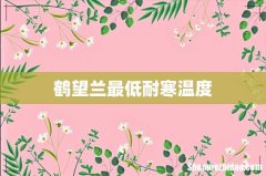 鹤望兰最低耐寒温度