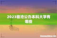 2023临沧公办本科大学有哪些