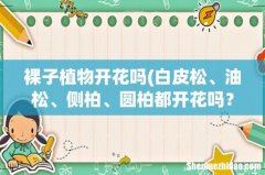 白皮松、油松、侧柏、圆柏都开花吗？ 裸子植物开花吗