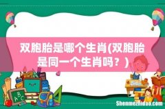 双胞胎是同一个生肖吗？ 双胞胎是哪个生肖