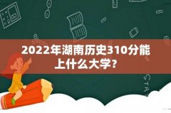2022年湖南历史310分能上什么大学？
