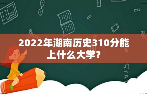 2022年湖南历史310分能上什么大学?