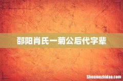 邵阳肖氏一菊公后代字辈