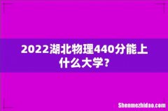 2022湖北物理440分能上什么大学？