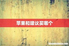 苹果和建议买哪个