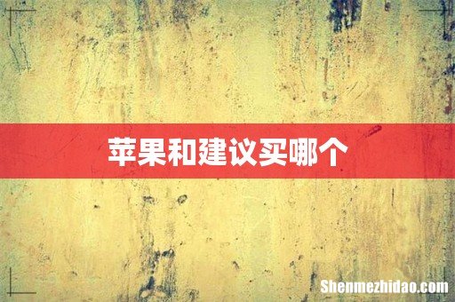 苹果和建议买哪个