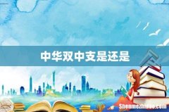 中华双中支是还是