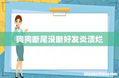 狗狗断尾没断好发炎溃烂