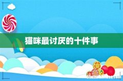 猫咪最讨厌的十件事