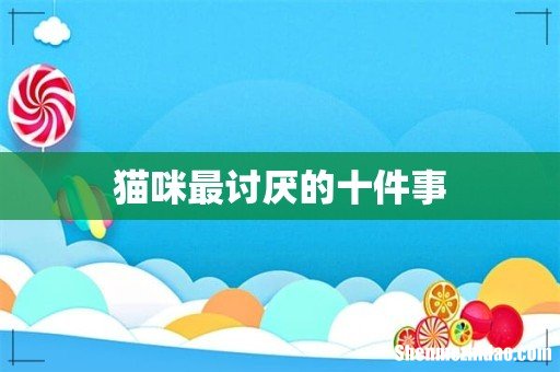猫咪最讨厌的十件事