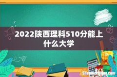 2022陕西理科510分能上什么大学