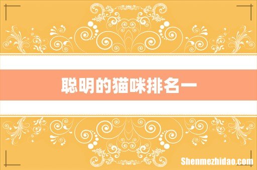 聪明的猫咪排名一