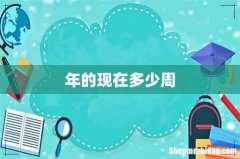年的现在多少周