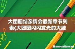 大团圆闪闪发光的大结局 大团圆结亲情会最新章节列表