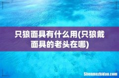 只狼戴面具的老头在哪 只狼面具有什么用