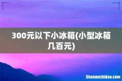 小型冰箱几百元 300元以下小冰箱