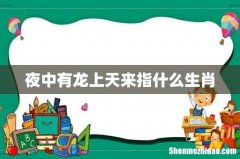 夜中有龙上天来指什么生肖