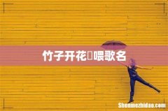 竹子开花啰喂歌名