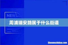 周浦瑞安路属于什么街道