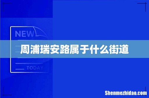 周浦瑞安路属于什么街道