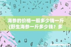 野生海参一斤多少钱？多少个一斤？ 海参的价格一般多少钱一斤