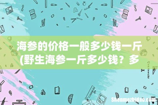 野生海参一斤多少钱?多少个一斤? 海参的价格一般多少钱一斤