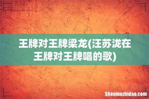 汪苏泷在王牌对王牌唱的歌 王牌对王牌梁龙