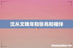沈从文晚年和张兆和相伴