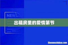 出租房里的爱情第节