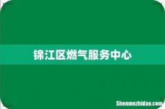 锦江区燃气服务中心