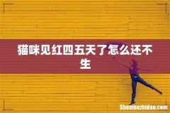 猫咪见红四五天了怎么还不生